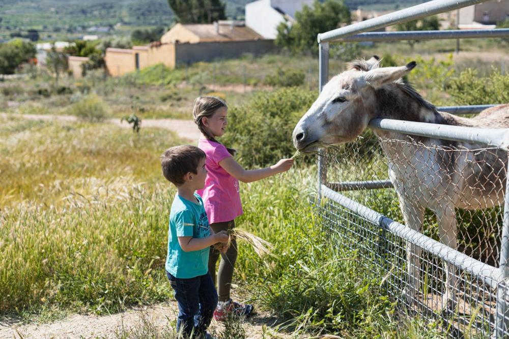 Finca Liarte ξενώνας Fuente Alamo  Εξωτερικό φωτογραφία